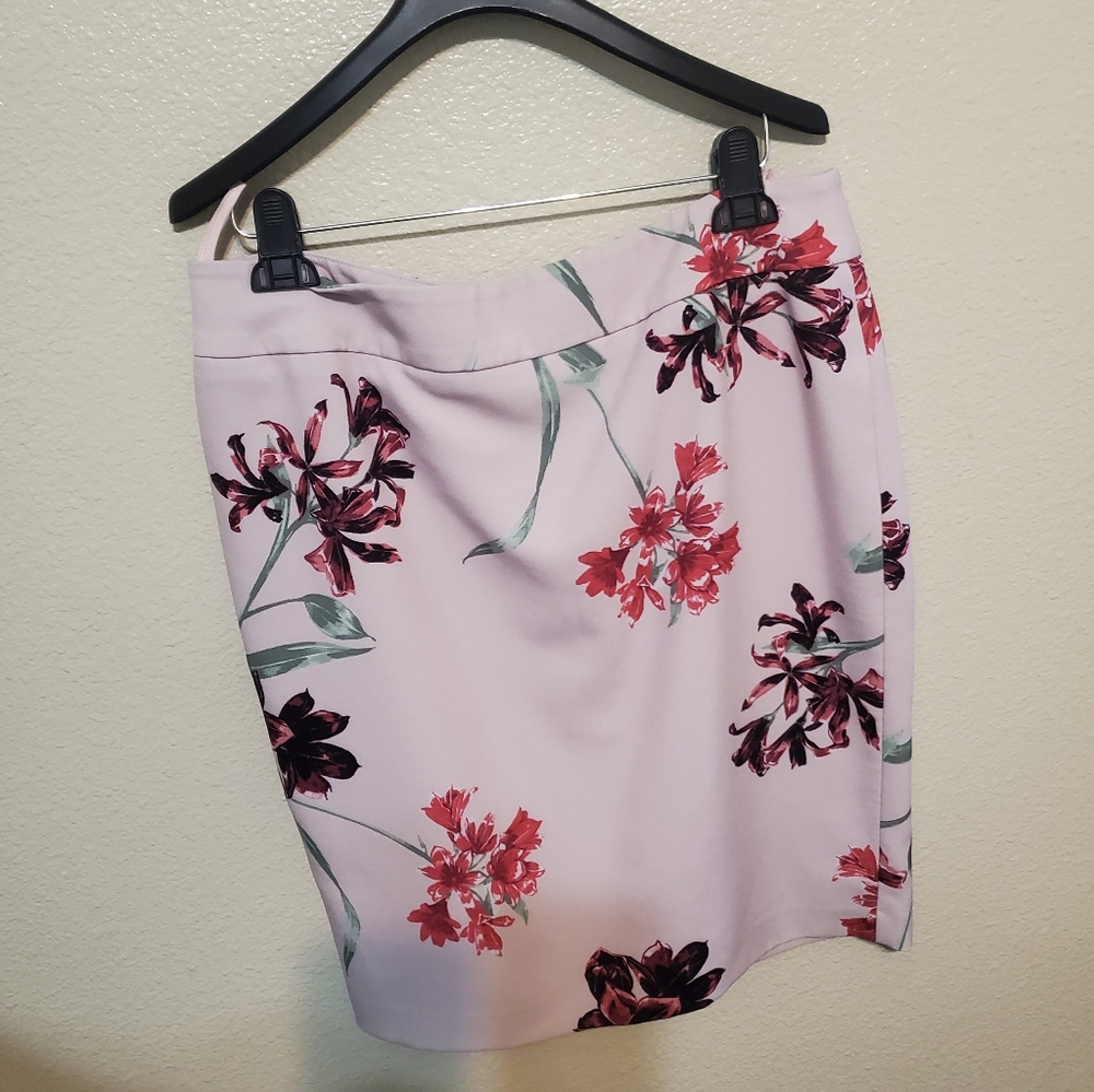 Skirt suite